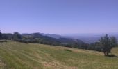 Randonnée Marche Presles - Autour de La Faz - Photo 3