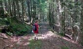 Excursión Senderismo Le Falgoux - Franconèche- Gr400-chemin des Italiens bis - Photo 11