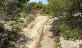 Trail Mountain bike Salon de Provence - Salon Eguille gr69 étape 3 - Photo 8