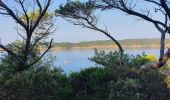 Randonnée Marche Hyères - Parc naturel de Port Cros - Photo 1