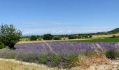 Tocht Stappen Clansayes - SityTrail - Clansayes Le Rouvergue 6km - Photo 1