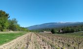 Tocht Stappen Villes-sur-Auzon - entre Auzon et le GR du massif du Ventoux - Photo 6