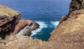 Tour Wandern Caniçal - PR8 Madère Madeira - Photo 6