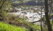 Tour Wandern Gedinne - Willerzie 190425 - Photo 15