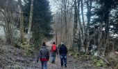 Trail Walking Rochesson - cascade de Battion  - Photo 14