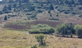 Tour Wandern Orcines - puy de dôme  - Photo 3