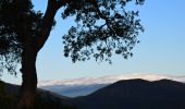 Excursión Senderismo Roquebrune-sur-Argens - Col du Bougnon - Peigros - Photo 2