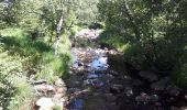 Tour Wandern Weismes - Venenwandeling Signal de Botrange - Photo 4