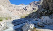 Excursión Senderismo Vallouise-Pelvoux - le refuge glacier blanc et le point de vue sur la barre - Photo 15
