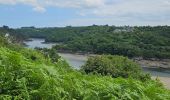 Excursión Senderismo Trébeurden - 2024 RA J4 Bretagne costamoricaine  - Photo 3