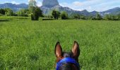 Trail Equestrian Roissard - Trieves - Devoluy - Photo 3