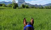 Trail Equestrian Roissard - Trieves - Devoluy - Photo 3