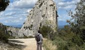 Tour Wandern Saint-Rémy-de-Provence - PF-Saint Rémy de Provence - Lac du Peiroou - La Caume - Photo 16