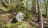 Trail Walking Aywaille - en remontant l'Amblève et en redescendant le Ninglinspo - Photo 12