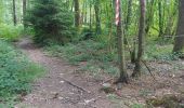 Trail Walking Chimay - depart poreaupre - Photo 10