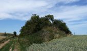 Tour Zu Fuß Jodoigne - Promenade de la chapelle d'Herbais - Photo 2