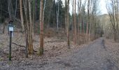 Trail On foot Amtsberg - Rundweg Weißbach z.T. fehlende Markierung - Photo 5