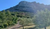 Trail Walking Saint-Antonin-sur-Bayon - 13-st_antonin_bayon_8km330m - Photo 12