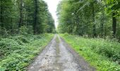 Randonnée Marche Oigny-en-Valois - en forêt de Retz_86_les Laies de la Poudrerie et de la Fosse aux Demoiselles - Photo 16