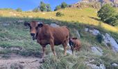 Tocht Stappen Bourg-Saint-Maurice - Les chapieux-col des four  - Photo 12