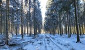 Tour Wandern La Roche-en-Ardenne - Samree 130125 - Photo 14