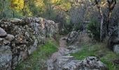 Tour Wandern Serra-di-Ferro - Serra di Ferro, plage de Cupabia A/R - Photo 6