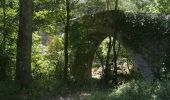 Excursión A pie Sales de Llierca - L'Alta Garrotxa de Vayreda - Photo 8