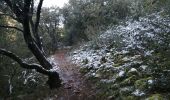 Trail Walking Caromb - caromb grand pacours - Photo 4