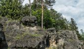 Tocht Te voet Bad Staffelstein - Staffelberg Steig - Photo 2