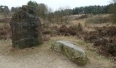 Tour Zu Fuß Maasmechelen - Mechelse Heide Rode driehoek - Photo 3