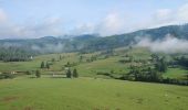 Tour Zu Fuß Bezirk Großsteffelsdorf - Náučný chodník zbojníka Jakuba Surovca - Photo 10