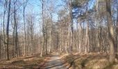 Randonnée Marche Theux - bansion - les digues via golf et chawion, retour via chemin des arbres remarquables - Photo 12