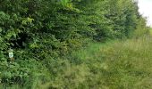 Trail Walking Dinant - FOY GPX BERLAGE - Photo 2
