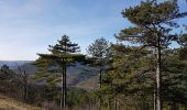 Tocht Stappen Saint-Étienne-de-Gourgas - Forêt de Parlatges - Roc de l'Eglise - Photo 6