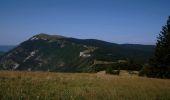 Trail Walking Marignac-en-Diois - Marignac - But de l'Aiglette - Col de Vassieux - Photo 5