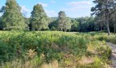 Trail Walking Peyrat-le-Château - barrage de Vassivière - Photo 1