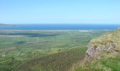 Randonnée A pied Unknown - Causeway Coast and Glens - 14 - Binevenagh - Photo 2