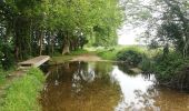 Tocht Mountainbike Caen - sortie dans les marais de vimont  - Photo 7