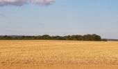 Randonnée Marche Béthancourt-en-Valois - Béthancourt en valois - Photo 1