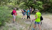 Tour Wandern Mérindol - PF-Puget - Autour du Vallon du Dégoutau - 03.06.2021 - Photo 5