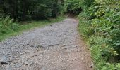 Tour Wandern Laval-en-Belledonne - PETITE RANDONNEE AU DEPART DU PONT DE LA BETTA  - Photo 4