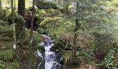 Trail Walking Vagney - Cascade de la Pissoire - Haut du Tôt  - Photo 4