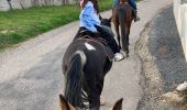 Trail Horseback riding Baccarat - Vendredi 8 mars 23 chez Alex Tivio  - Photo 4