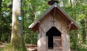 Trail Walking Dambach-la-Ville - Sommets et rochers - Photo 3