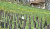 Tour Zu Fuß Hauenstein-Ifenthal - Challhöchi - Hauenstein - Photo 4