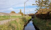 Excursión Bici eléctrica Ronse - Parcours 2/2 similaire au  Fiertel (2eme partie) - Photo 3