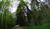 Randonnée V.T.T. La Hulpe - VTT sur la forêt de soignes - Photo 4