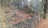 Tour Wandern Beure - Beure, fort Planoise, Valmy, Roche trouée, vieille église.  - Photo 2