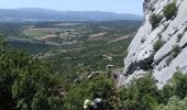 Trail Walking Puyloubier - Pic dès mouches puyloubier - Photo 4