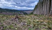 Trail Walking La Roche-en-Ardenne - Samree 190324 - Photo 3